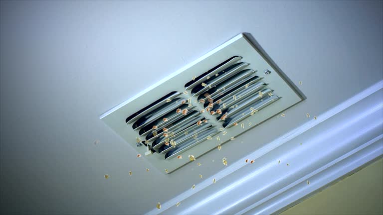 Best Ductwork Cleaning Services  in Waterloo, IN