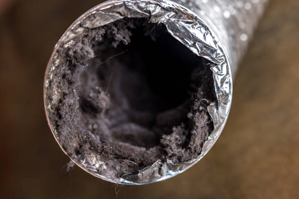 Best Air Duct Cleaning Near Me  in Waterloo, IN