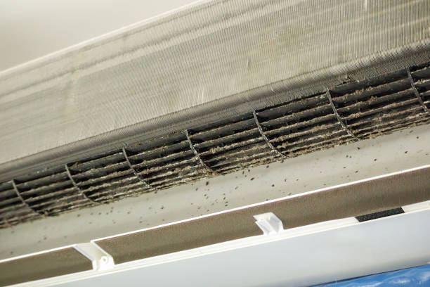 Best Affordable Air Duct Cleaning  in Waterloo, IN
